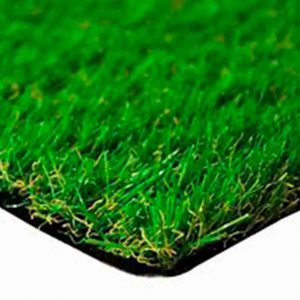 Pasto ornamental 25mm