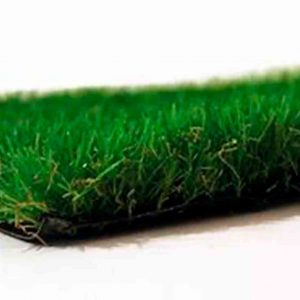 Pasto ornamental 35mm